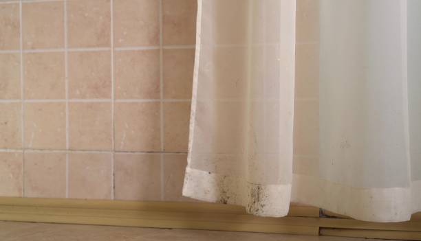 Best Real Estate Mold Inspection  in Quinnesec, MI