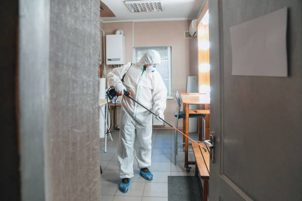 Best Mold Damage Restoration  in Quinnesec, MI