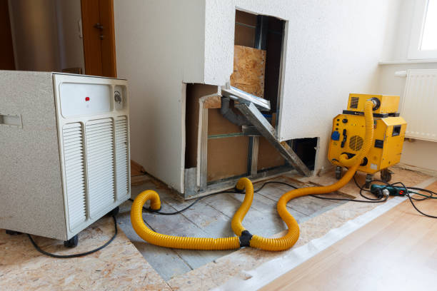 Best Post-Construction Mold Inspection  in Quinnesec, MI