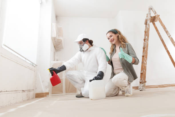 Best Dehumidification Services  in Quinnesec, MI