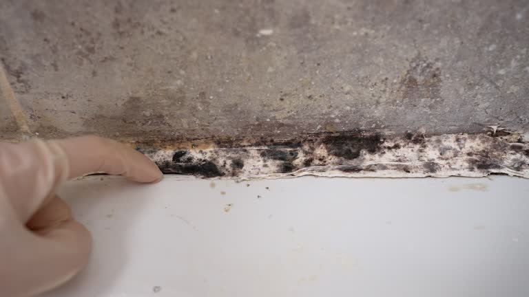 Best Indoor Air Quality Assessment  in Quinnesec, MI